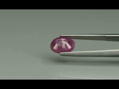 Primary video