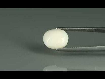 Primary video