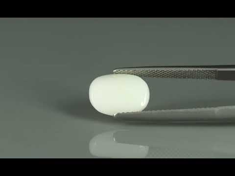 Primary video