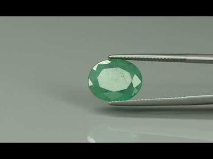 Primary video