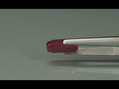 Primary video
