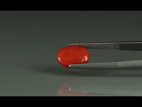 Primary video