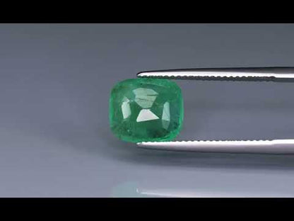 Primary video