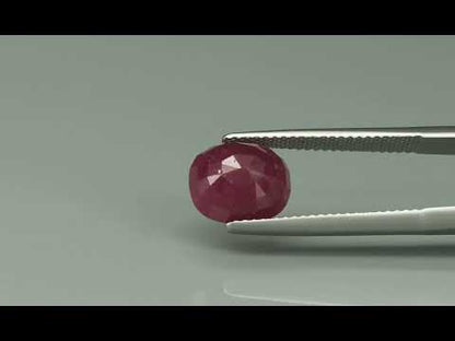 Primary video
