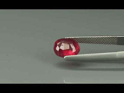 Primary video