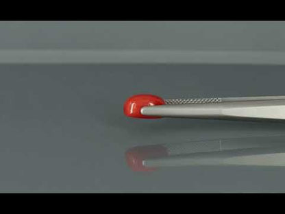 Primary video