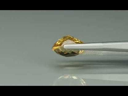 Primary video