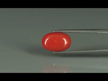 Primary video