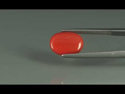 Primary video