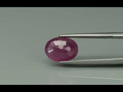 Primary video