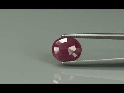 Primary video