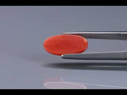 Primary video