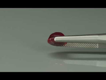 Primary video