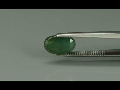 Primary video