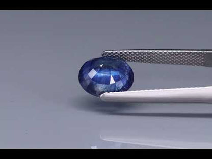 Primary video