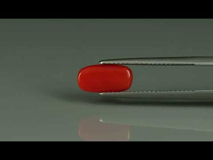 Primary video