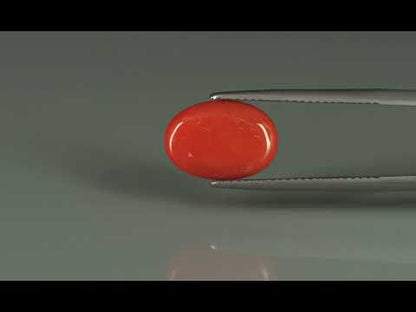 Primary video