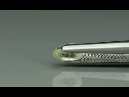 Primary video