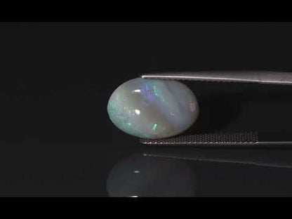 Primary video