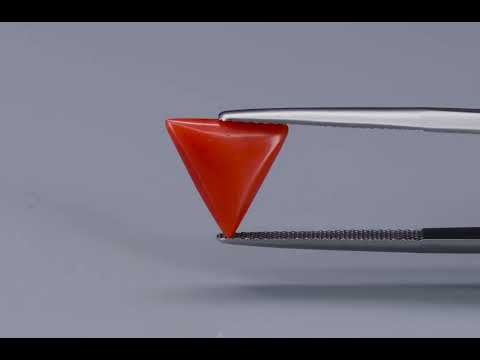 Primary video