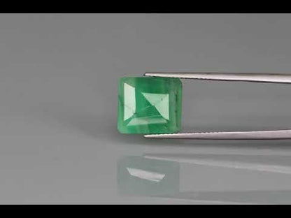 Primary video