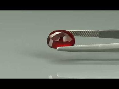 Primary video