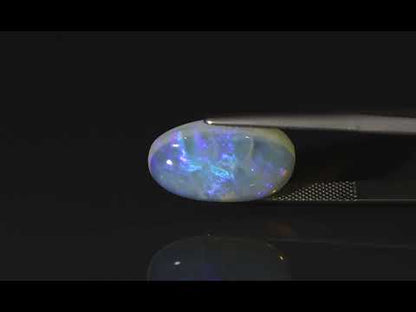 Primary video
