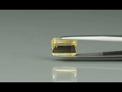 Primary video