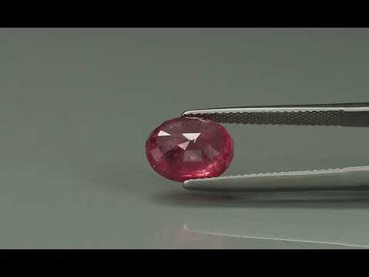 Primary video