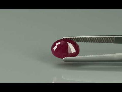 Primary video