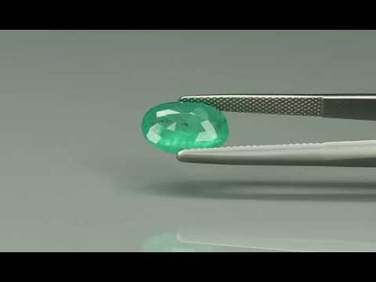 Primary video