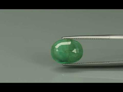 Primary video