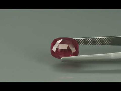 Primary video