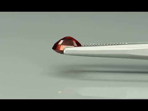 Primary video