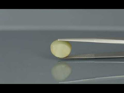 Primary video