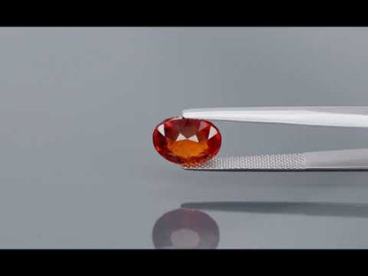 Primary video