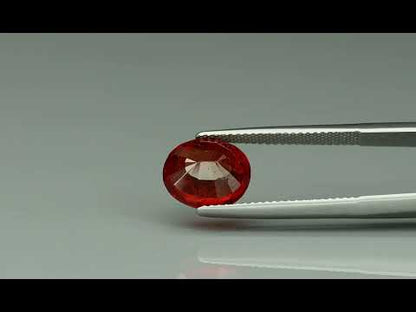 Primary video