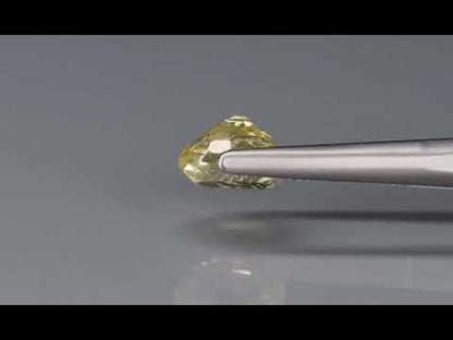 Primary video