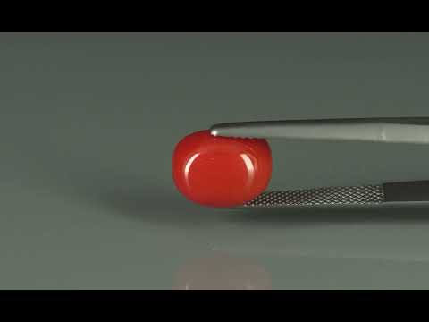 Primary video