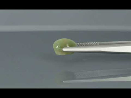 Primary video