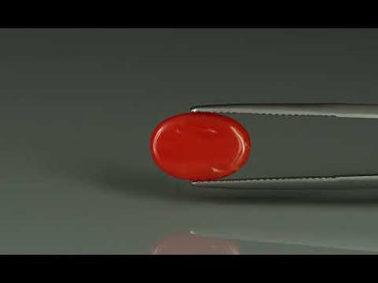 Primary video
