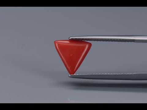Primary video