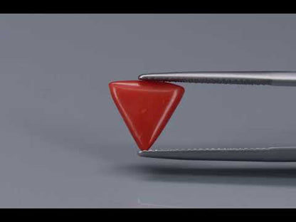 Primary video