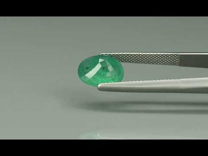 Primary video