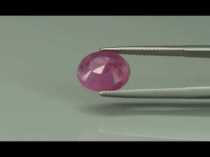 Primary video