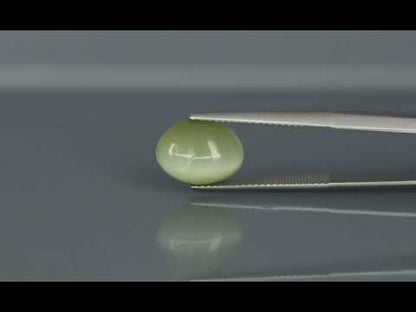 Primary video