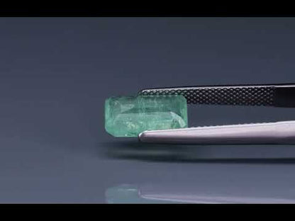 Primary video