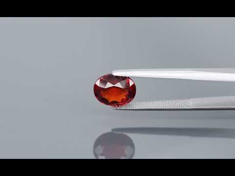 Primary video