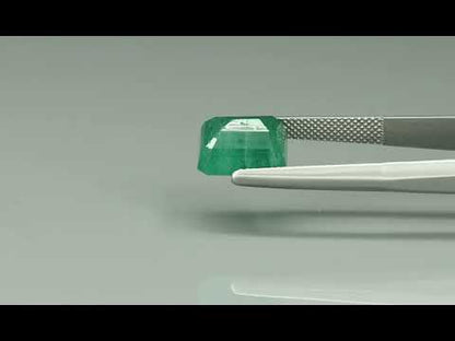Primary video