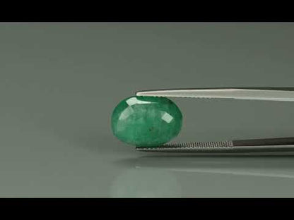 Primary video